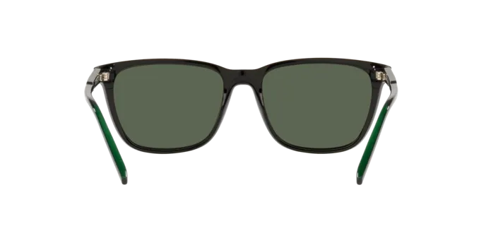Arnette Cortex AN4291 27539A