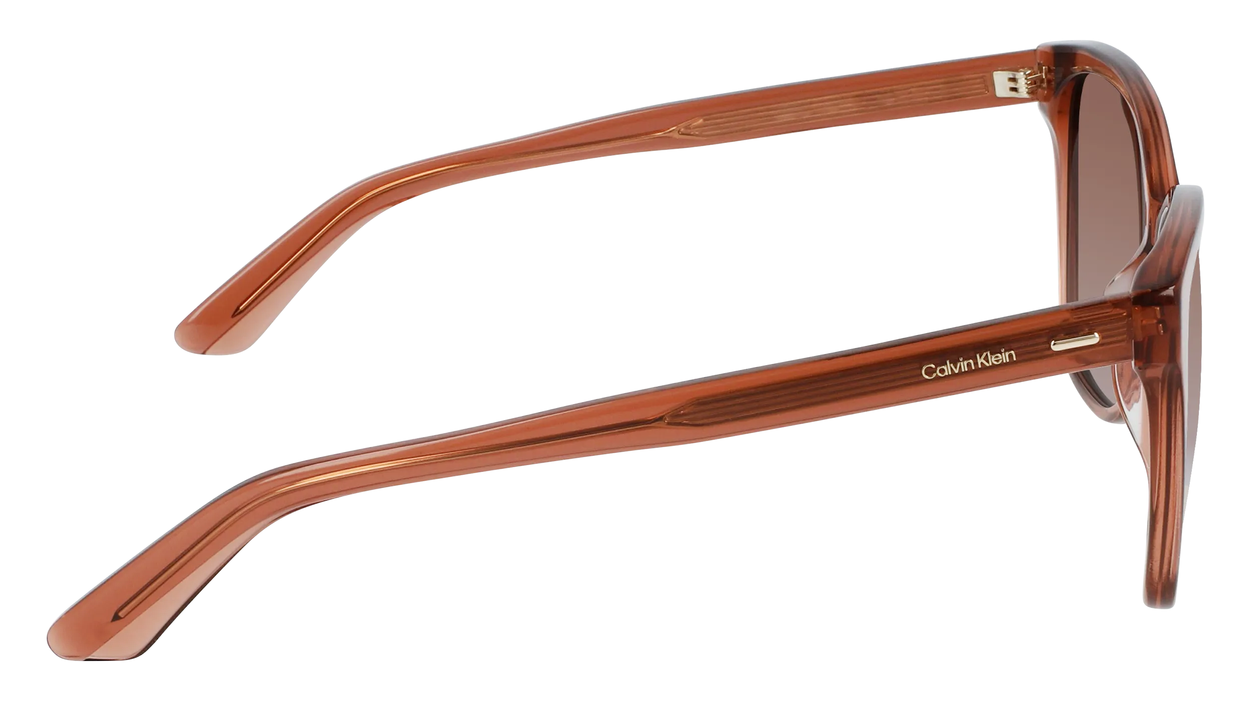 Calvin Klein CK21529S 601