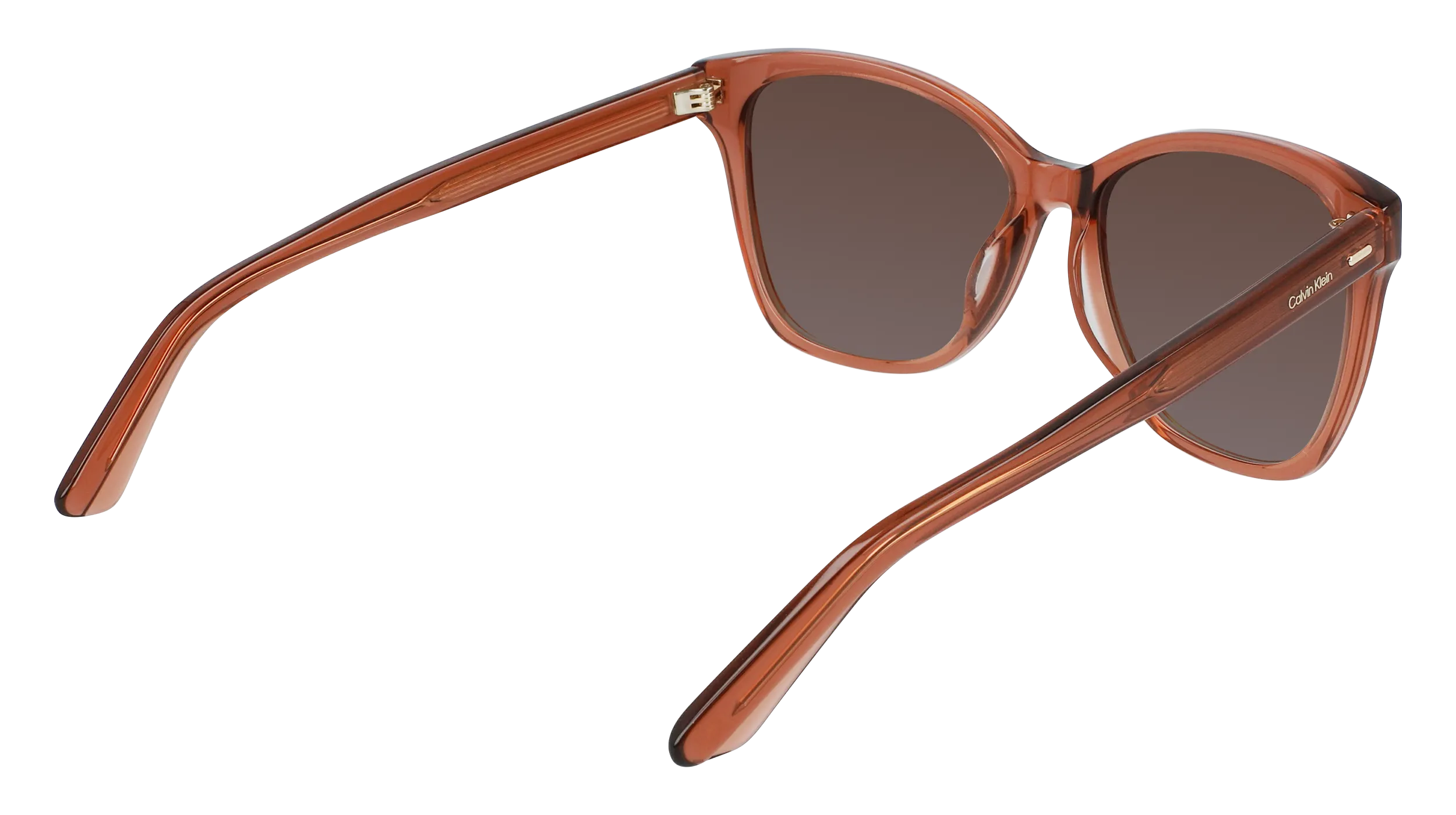 Calvin Klein CK21529S 601