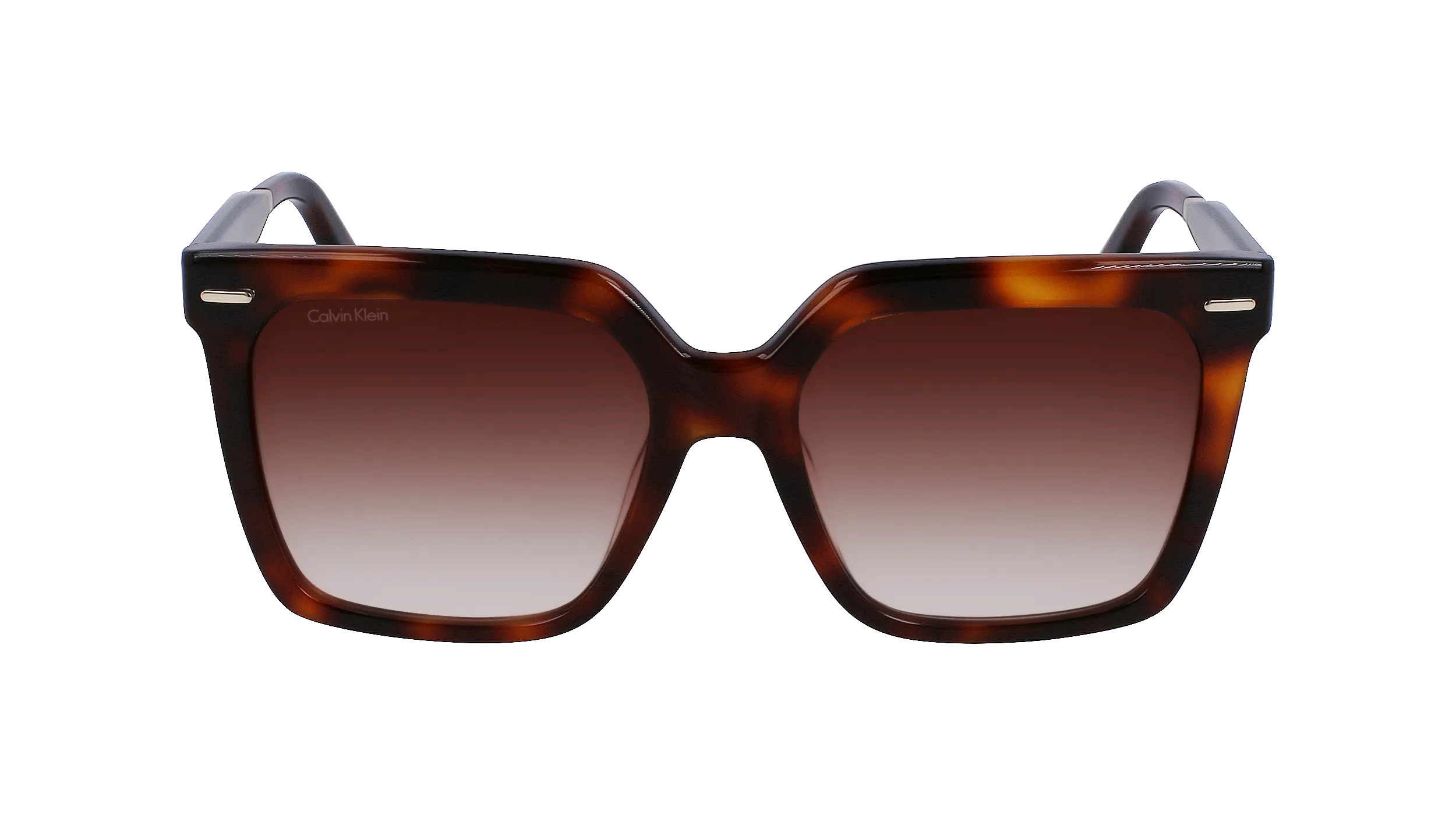 Calvin Klein CK22534S 220