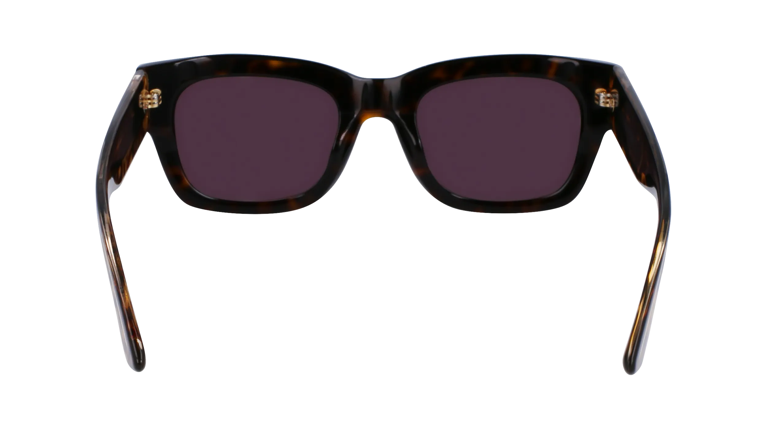 Calvin Klein CK23509S 220
