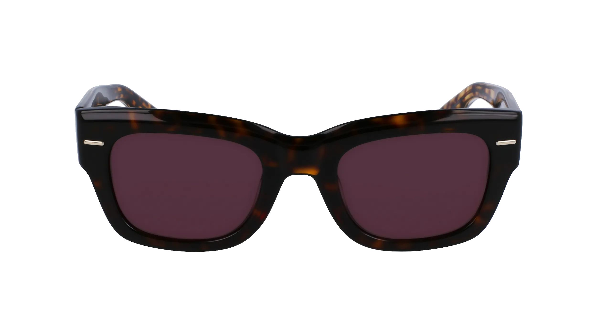 Calvin Klein CK23509S 220