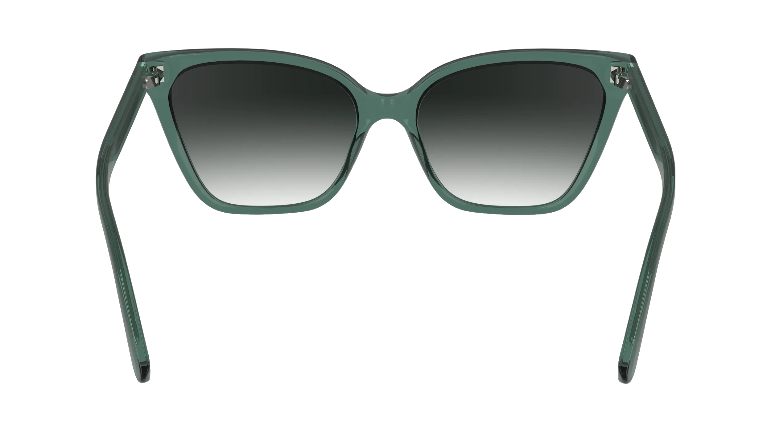 Calvin Klein CK24507S 338