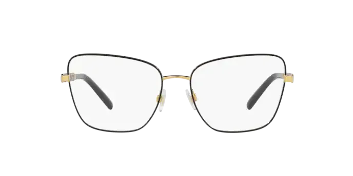 Dolce & Gabbana DG1346 1311
