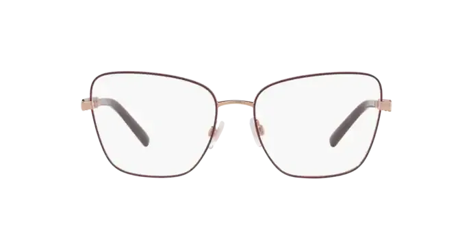 Dolce & Gabbana DG1346 1333