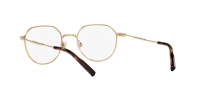 Dolce & Gabbana DG1349 02
