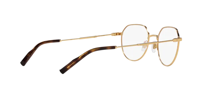 Dolce & Gabbana DG1349 02