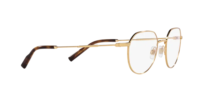 Dolce & Gabbana DG1349 02
