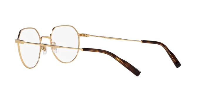 Dolce & Gabbana DG1349 02
