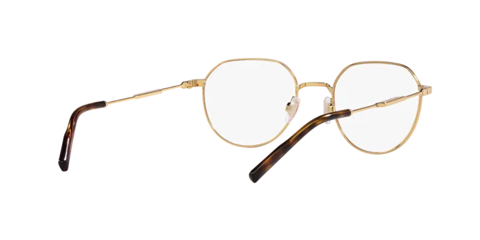 Dolce & Gabbana DG1349 02