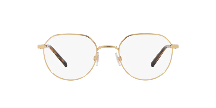 Dolce & Gabbana DG1349 02