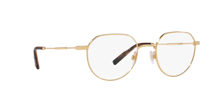 Dolce & Gabbana DG1349 02