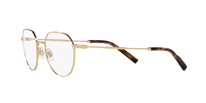 Dolce & Gabbana DG1349 02