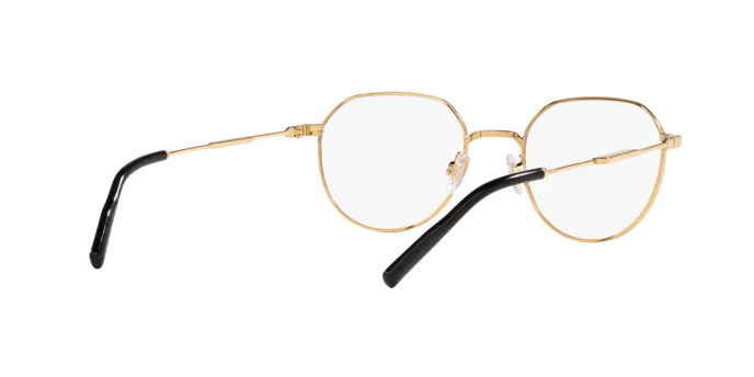 Dolce & Gabbana DG1349 1311