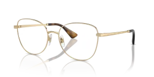 Dolce & Gabbana DG1355 1365