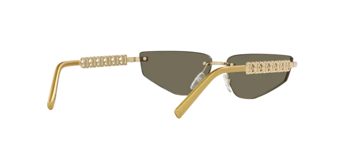 Dolce & Gabbana DG2301 02/03
