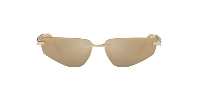 Dolce & Gabbana DG2301 02/03