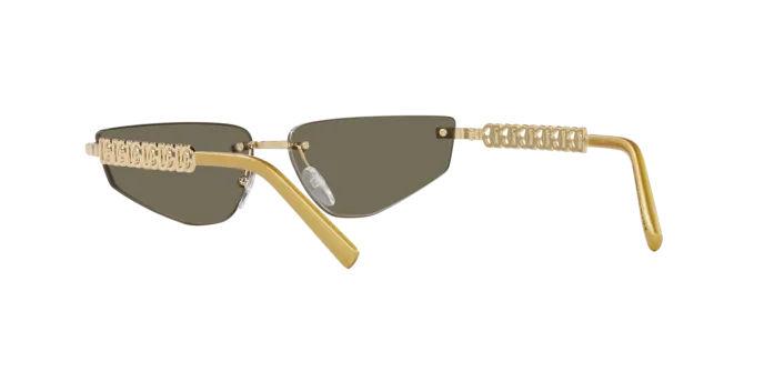 Dolce & Gabbana DG2301 02/03