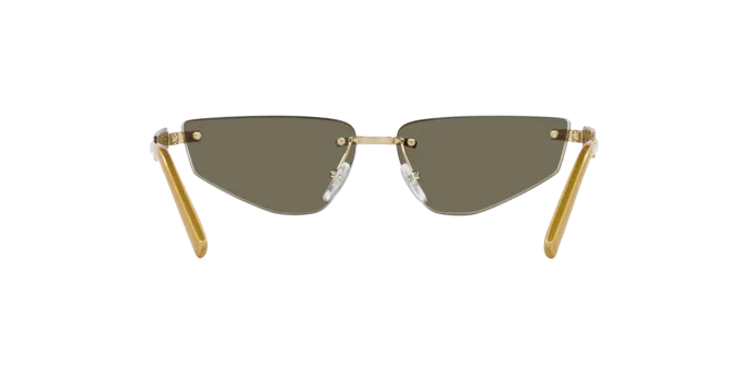 Dolce & Gabbana DG2301 02/03