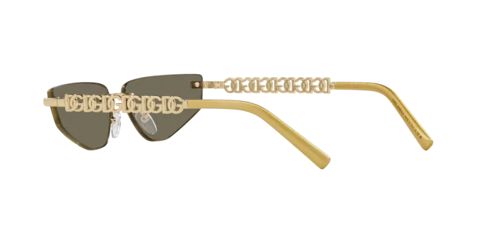 Dolce & Gabbana DG2301 02/03