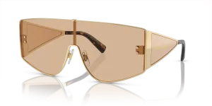 Dolce & Gabbana DG2305 13655A