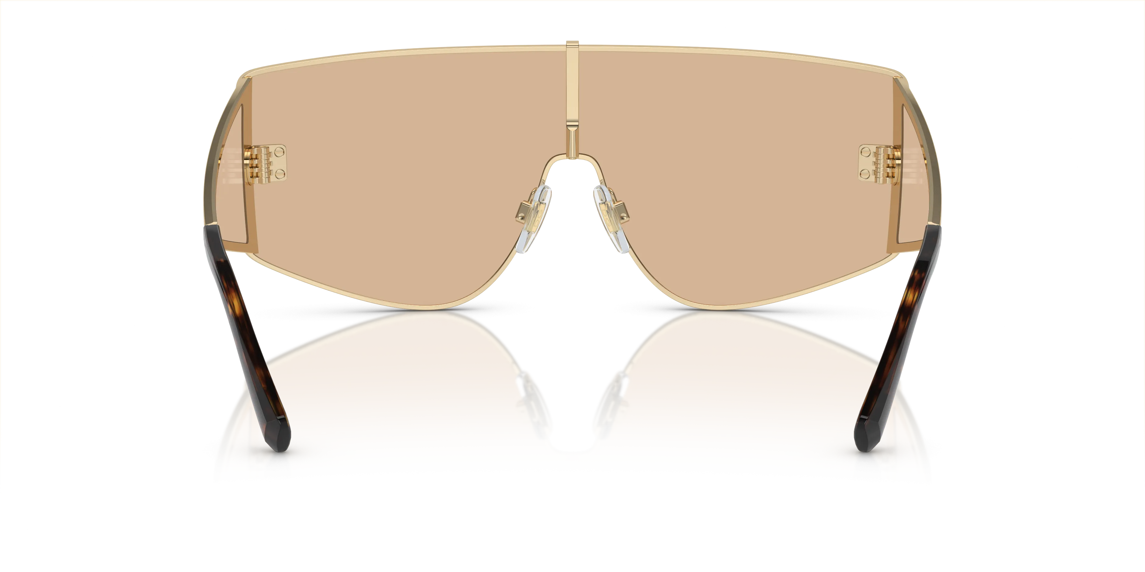 Dolce & Gabbana DG2305 13655A