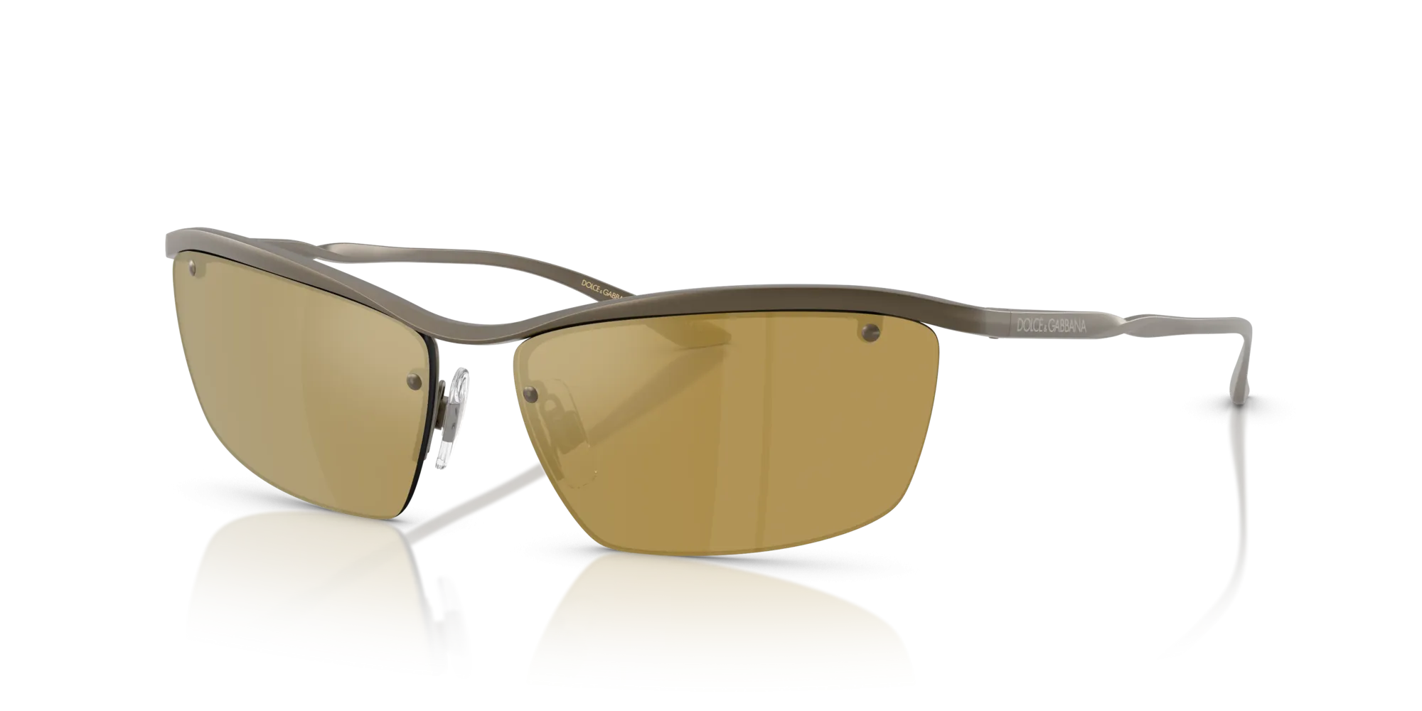 Dolce & Gabbana DG2307 13527I
