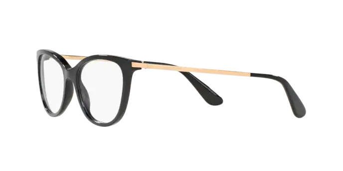 Dolce & Gabbana DG3258 501