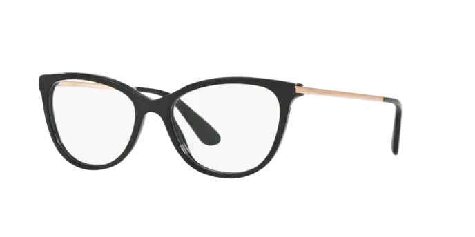 Dolce & Gabbana DG3258 501