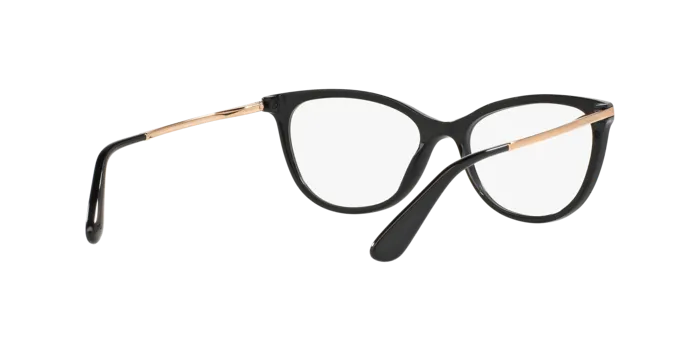 Dolce & Gabbana DG3258 501