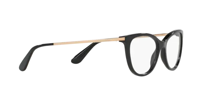 Dolce & Gabbana DG3258 501