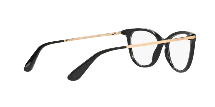 Dolce & Gabbana DG3258 501