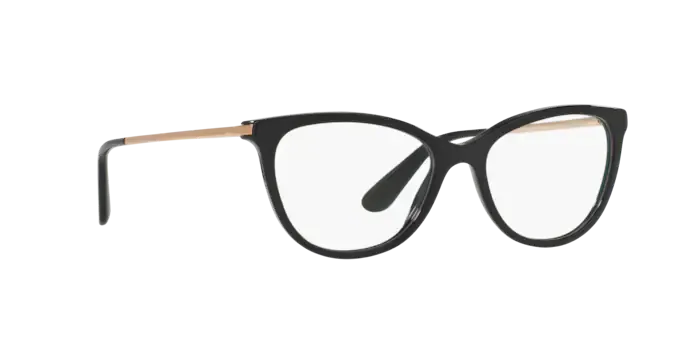 Dolce & Gabbana DG3258 501