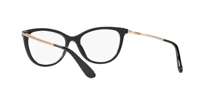 Dolce & Gabbana DG3258 501