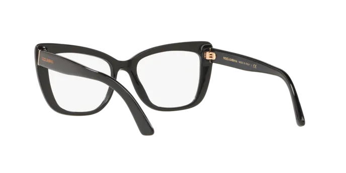 Dolce & Gabbana DG3308 501