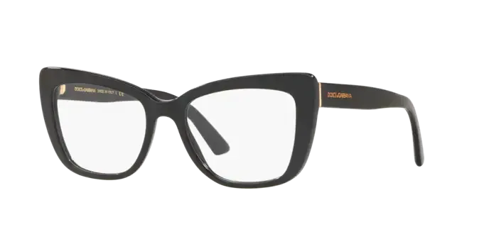 Dolce & Gabbana DG3308 501