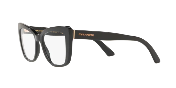 Dolce & Gabbana DG3308 501