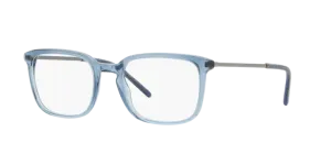 Dolce & Gabbana DG3349 3040