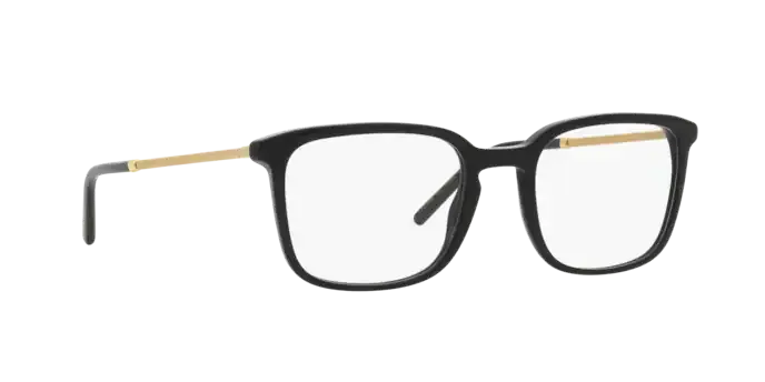Dolce & Gabbana DG3349 501