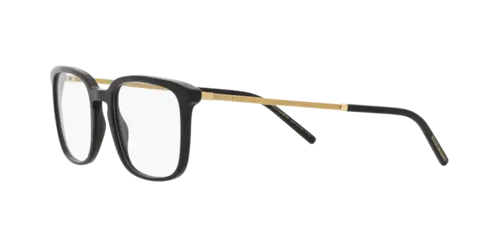 Dolce & Gabbana DG3349 501