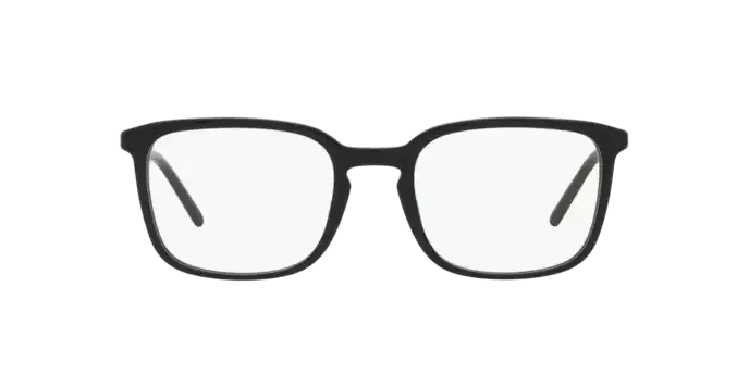 Dolce & Gabbana DG3349 501