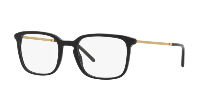 Dolce & Gabbana DG3349 501