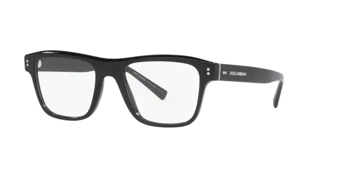 Dolce & Gabbana DG3362 501