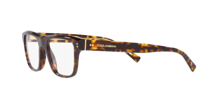 Dolce & Gabbana DG3362 502