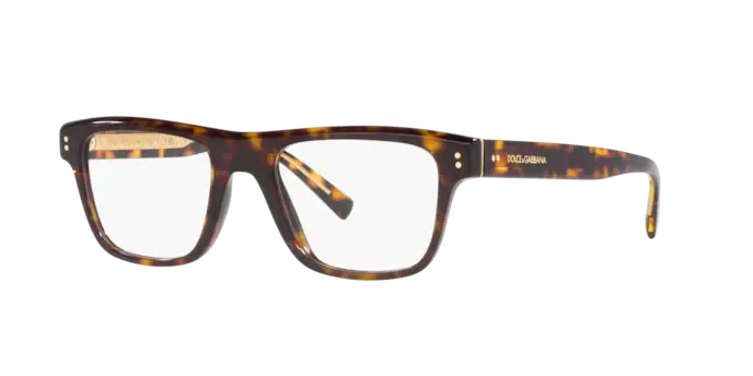 Dolce & Gabbana DG3362 502