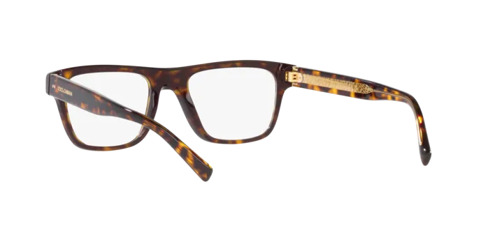 Dolce & Gabbana DG3362 502