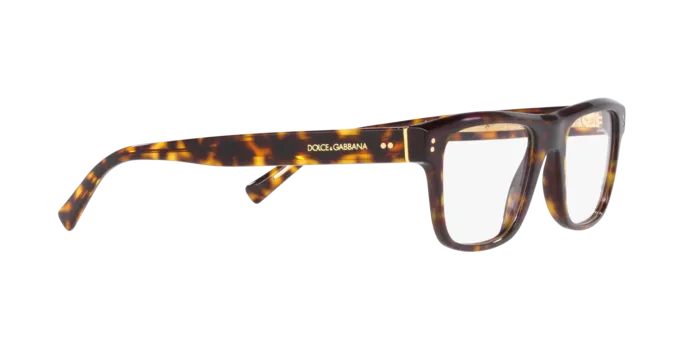 Dolce & Gabbana DG3362 502