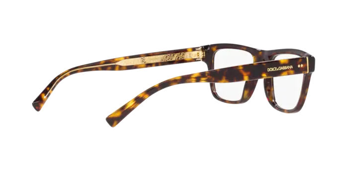 Dolce & Gabbana DG3362 502