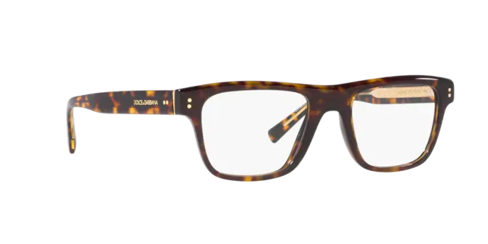 Dolce & Gabbana DG3362 502