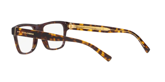 Dolce & Gabbana DG3362 502